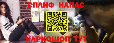 сатива Коммунар