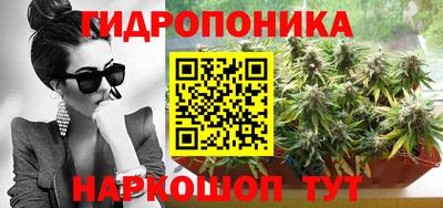 сатива Коммунар