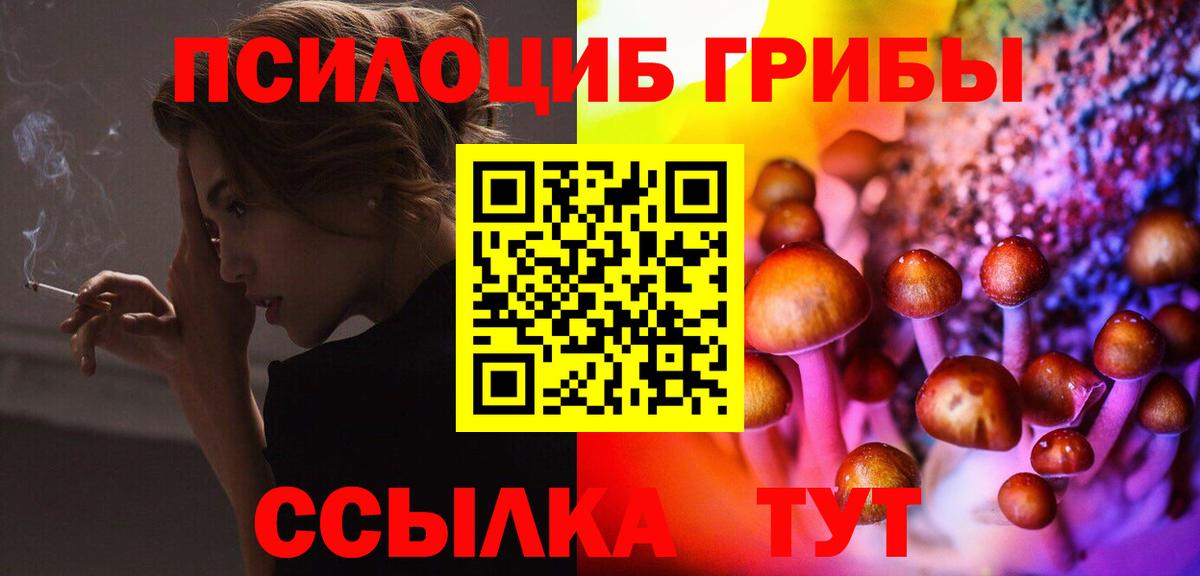 Галлюциногенные грибы Cubensis Кизилюрт