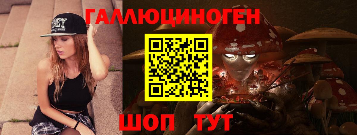 Кизилюрт  Псилоцибиновые грибы Cubensis  Вход с VPN 